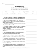 Human Body 