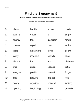 Find Two Synonyms 5