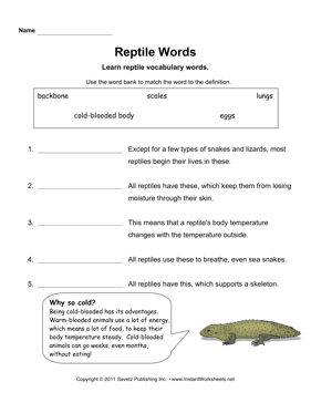 Reptile Words 