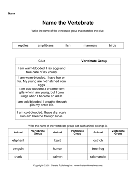 Vertebrate Groups 