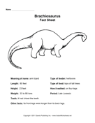 Brachiosaurus Fact Sheet 