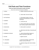 Cell Parts Functions 