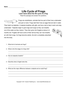 Frog Life Cycle Comprehension 