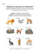 Herbivore Carnivore Omnivore 