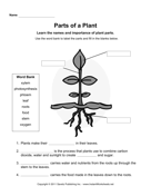Plant Parts Upper Grades 