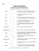 Plant Vocabulary 