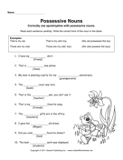 Possessive Nouns 