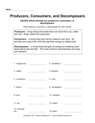 Producers Consumers Decomposers 