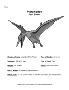 Pteranodon Fact Sheet 